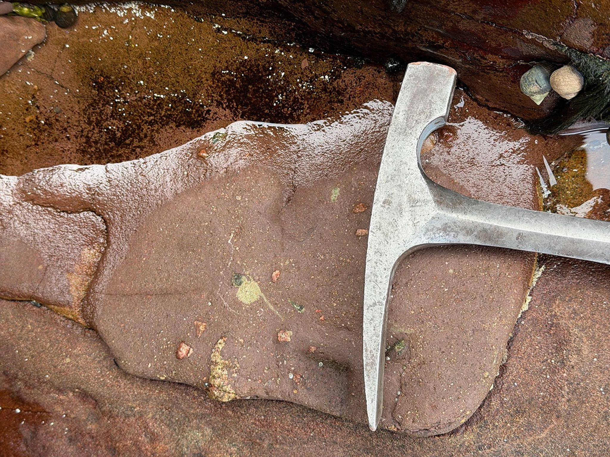 Reduction spots in Scottish sandstone with a rock hammer for scale, photographed during NASA’s 2026 field expedition